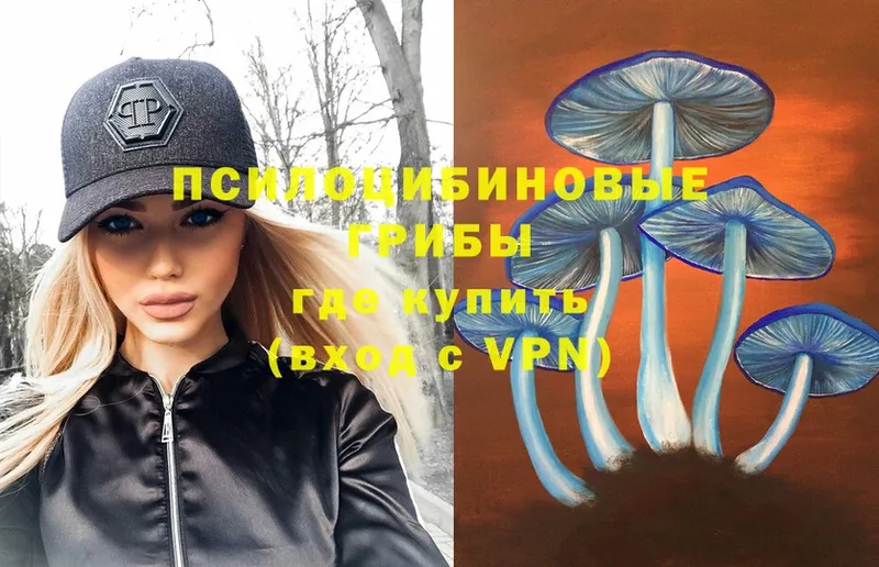 OMG ссылки  купить  сайты  Солигалич  Псилоцибиновые грибы Psilocybine cubensis 